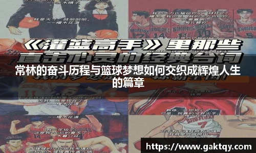 zoty中欧官方网站