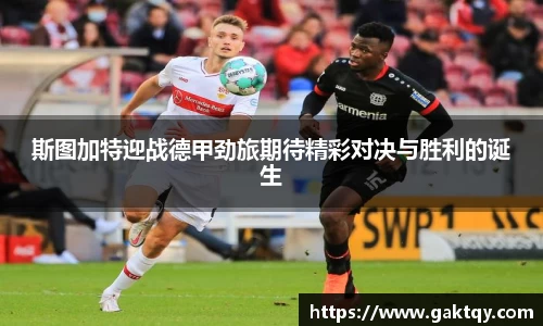 zoty中欧官方网站