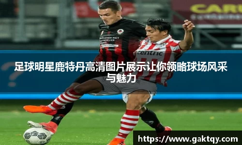 zoty中欧官方网站